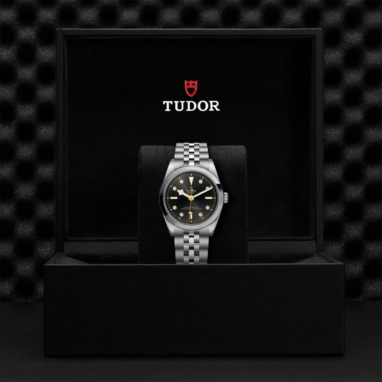 TUDOR Black Bay 36mm Case, Anthracite Diamond Dial, Steel Strap (M79640-0004)